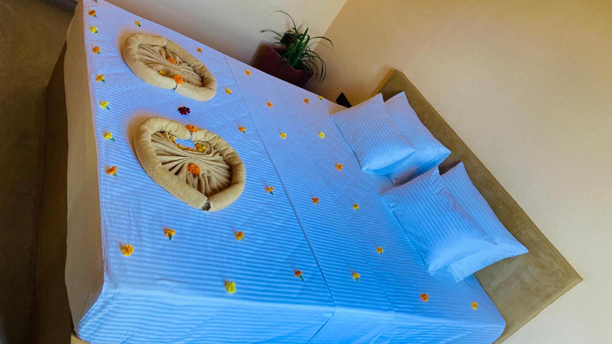 Ayubowan Hiriketiya Apartman Dikwella Kültér fotó